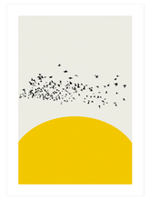 Sarı Dokunuş - Poster Seti Duo